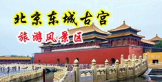 肏屌膣屄閪中国北京-东城古宫旅游风景区